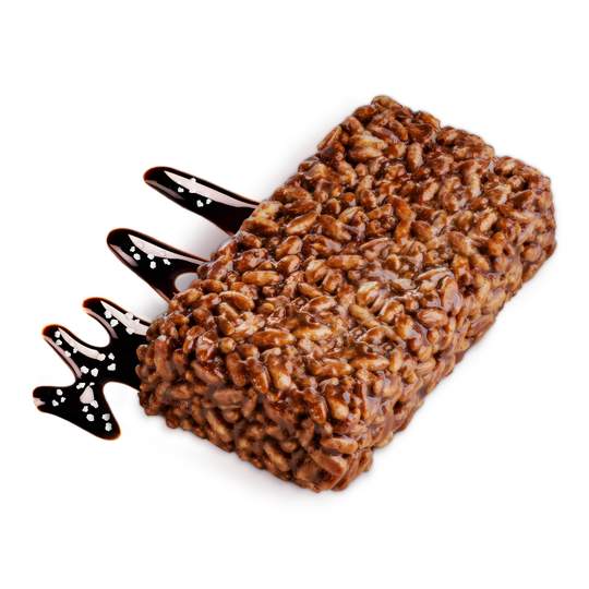 Wild Fox Foods Dark Chocolate Sea Salt Protein Bar with chocolate drizzle and sea salt on a white background.